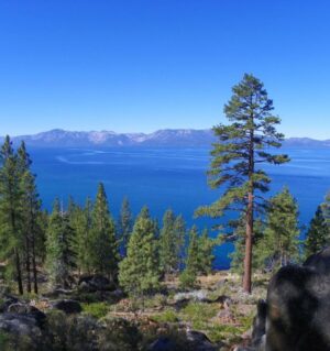Tahoe Wedding Tips